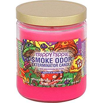  Smoke Odor Candle 13oz Trippy Hippie